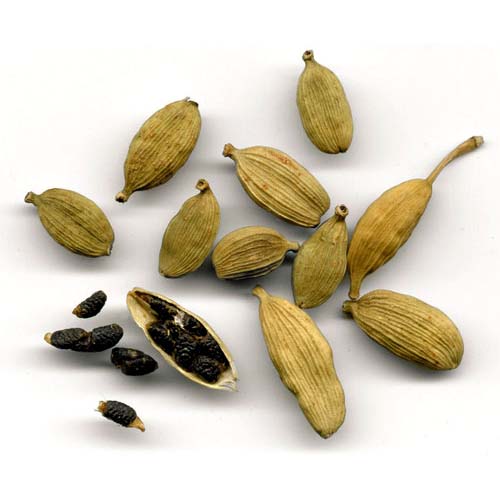 Cardamomo