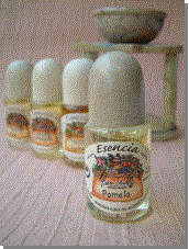 Esencia Natural de Menta - Neteja i protecci�